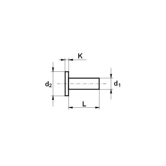 NIT ALUMINIOWY PEŁNY Z ŁBEM WALCOWYM 6.0*12 MM 