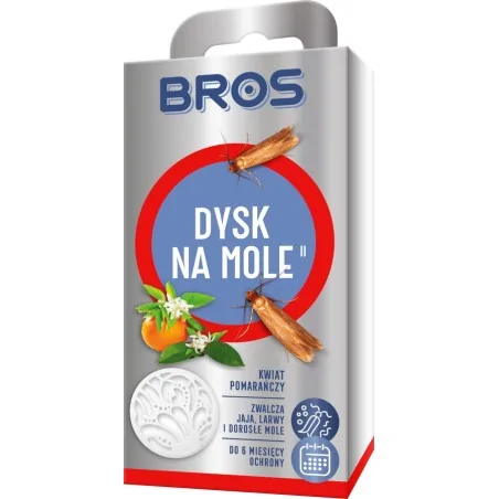 DYSK NA MOLE KWIATY POMARAŃCZY 