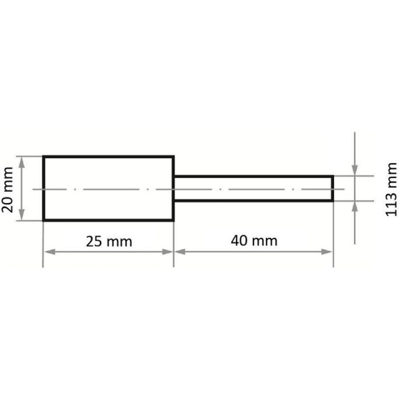 ŚCIERNICA TRZPIENIOWA P3ZY 2025.06 H3 