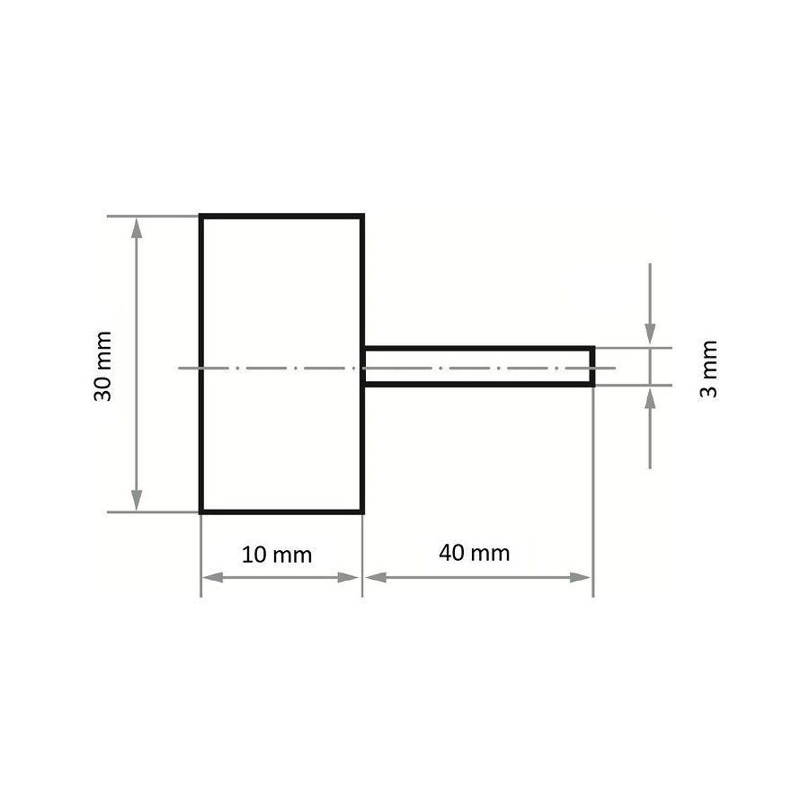 ŚCIERNICA TRZPIENIOWA LISTKOWA 03010.03 NK60 