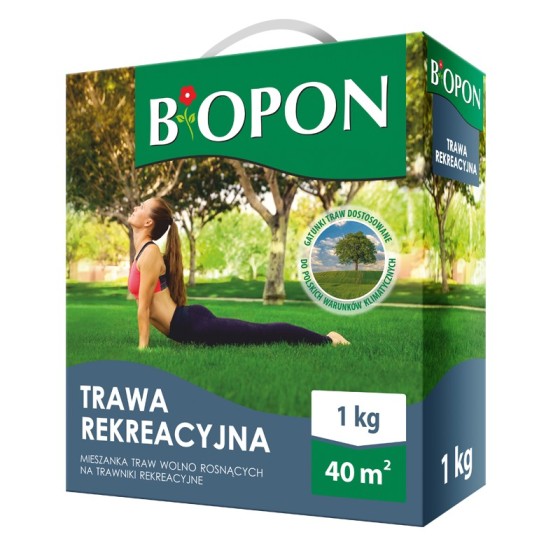 TRAWA REKREACYJNA 1 KG 