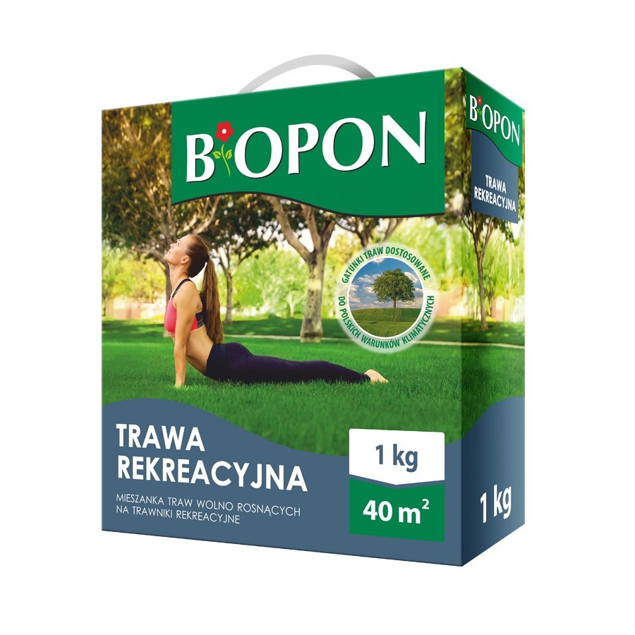 TRAWA REKREACYJNA 1 KG 